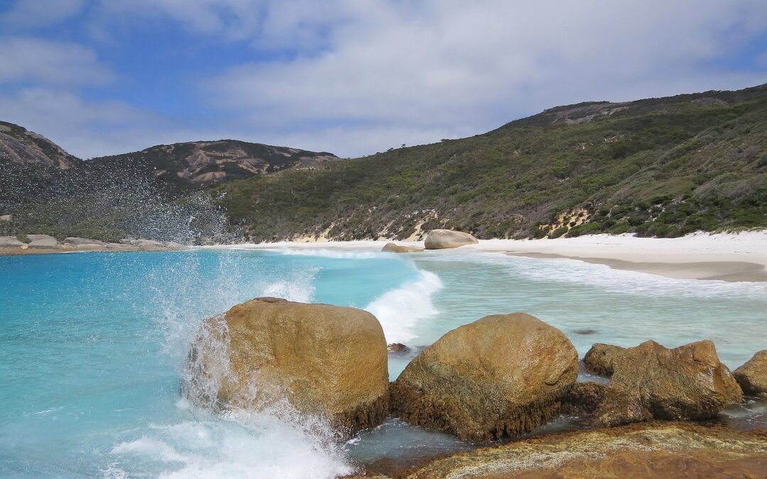 Südküsten Abenteuer: Tour von Pemberton nach Albany – 5 Tage