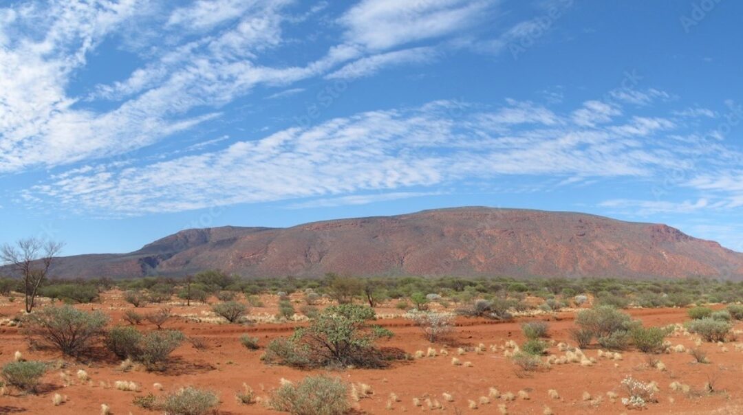 Road to Rock Mount Augustus