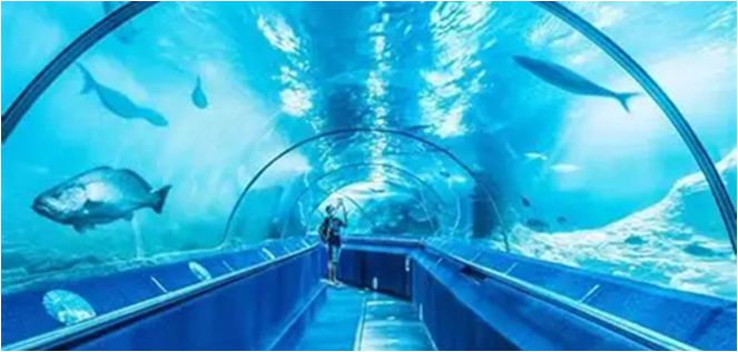 7 Tage Lifestyle Perth Itineray AQWA das Aquarium von WA