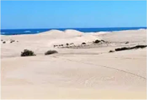 Trip 1 Lancelin to Cervantes Sand dunes near Lancelin