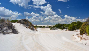 Trip 1 Lancelin to Cervantes Endless sand dunes near Lancelin