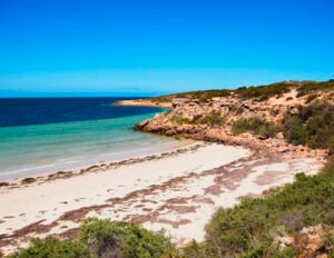 Laura Bay Conservation Park